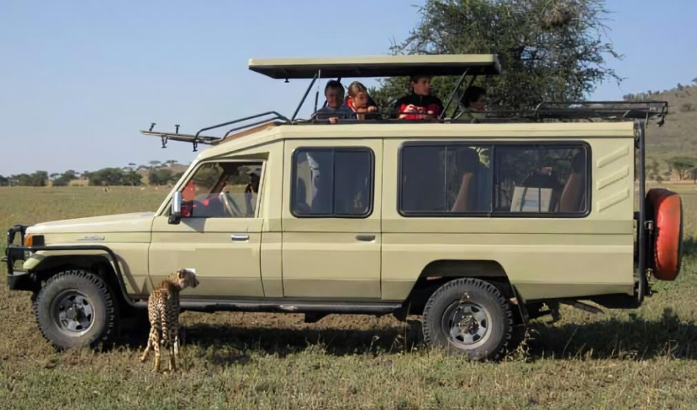 4x4 Land cruiser with pop up roof for 5 days Gorilla trekking & Chimpanzee tracking Uganda safari