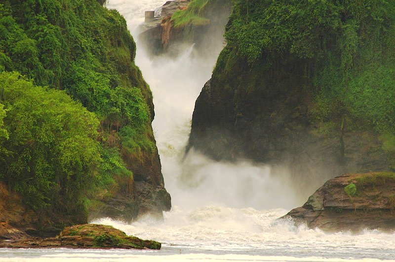 Uganda Rwanda murchison falls -primates and wildlife chimpanzee tracking gorilla trekking safari tour