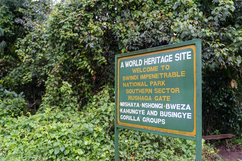 Rushaga gorilla trekking habituation sectors Uganda
