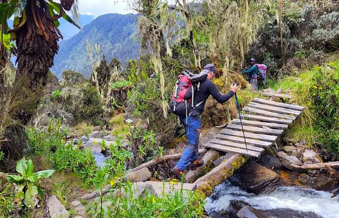 2 days Rwenzori Trekking Safaris