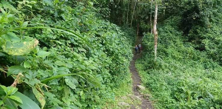 3 days Rwenzori Mahoma Loop Trail Trekking
