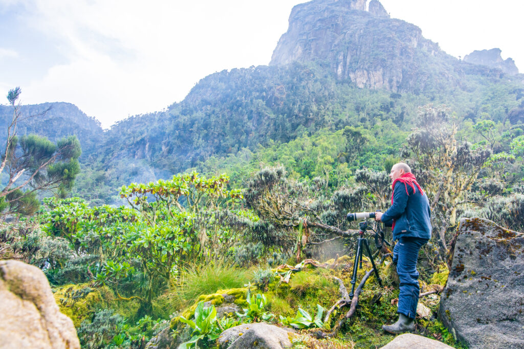 3 Days Rwenzori TrekTo Sine/Kalama Camp