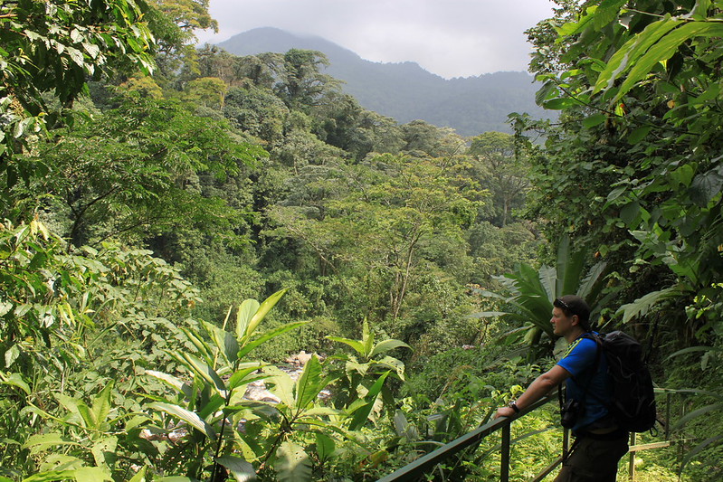 4 days Rwezori trekking Kilembe trail trekking