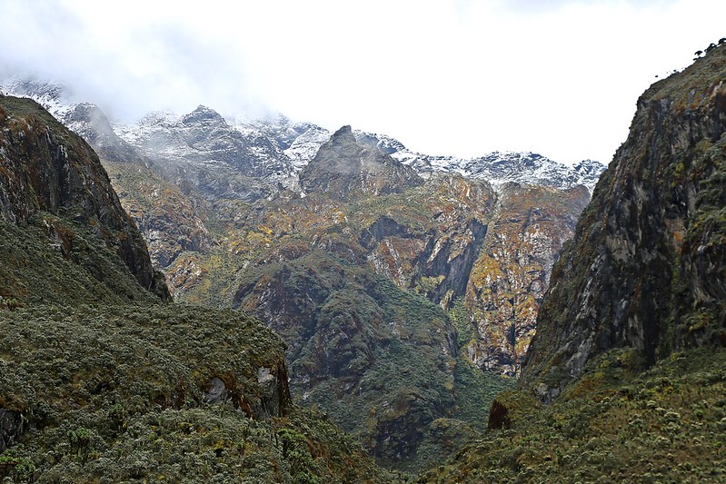 4 days Rwenzori trekking to Mutinda Lookout