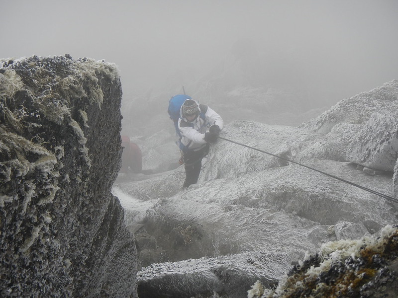 Best Time for 5 days Rwenzori trekking to Margherita Peak Rwenzori