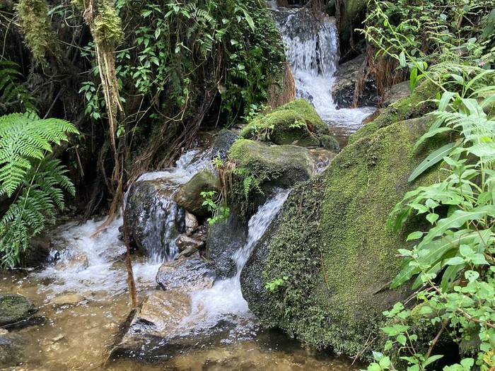 4 Days Rwenzori Waterfalls Circuit Trekking Safari Expeditions