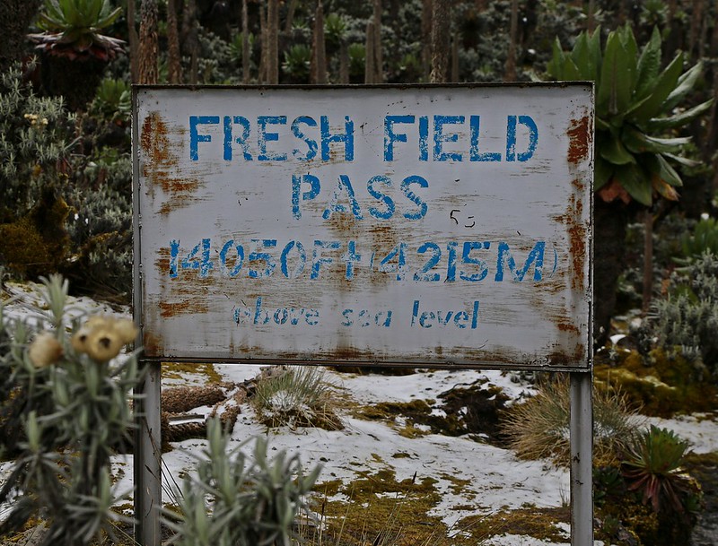 Freshfield Pass of Rwenzori Mountains