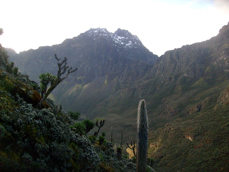 Mount baker Of Rwenzori Mountains National Park 5 days trek to Edward Peak