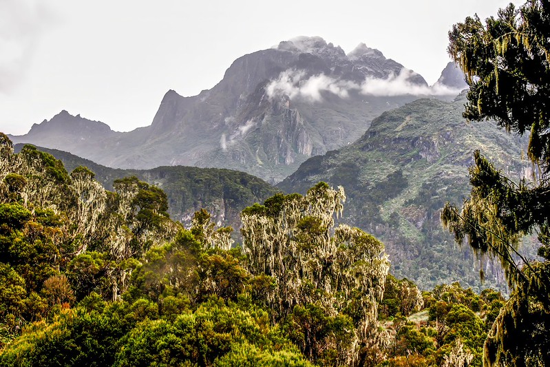 Mount Emin of the Rwenzori Mountains National Park
