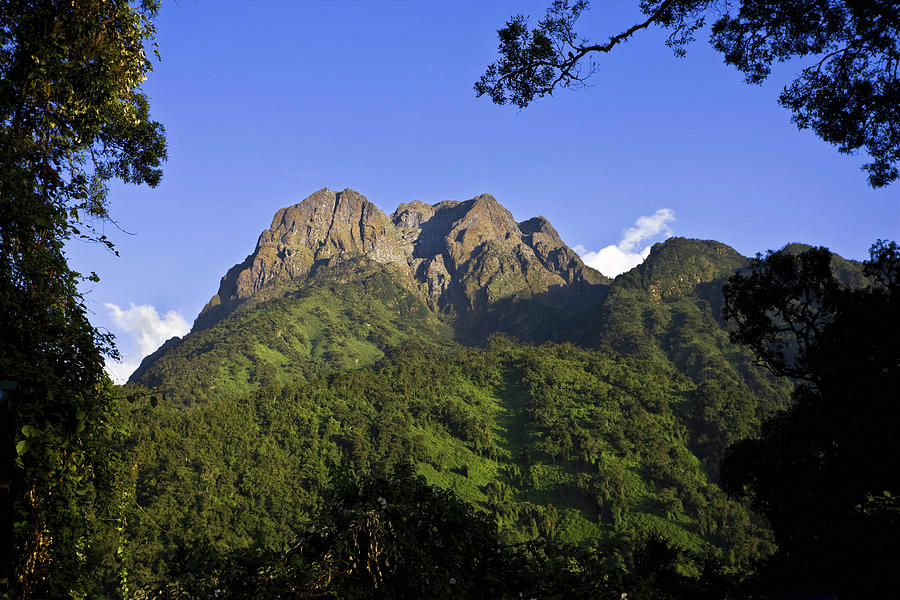Portal Peaks Of Rwenzori Mountains National Park