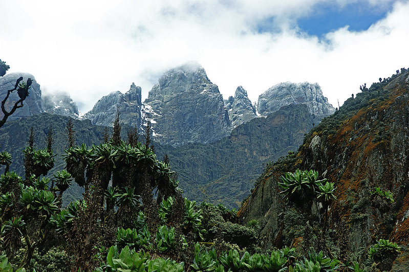 6 Days of Rwenzori Peaks Trekking to Portal Peaks