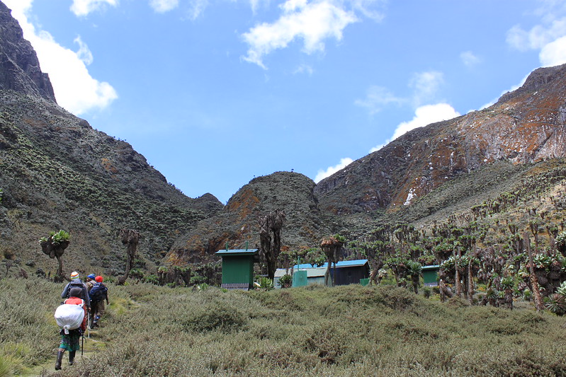 Rwenzori Trekking To John Matte Hut