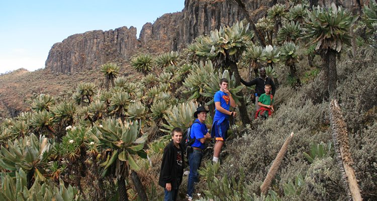 Mount Elgon National Park