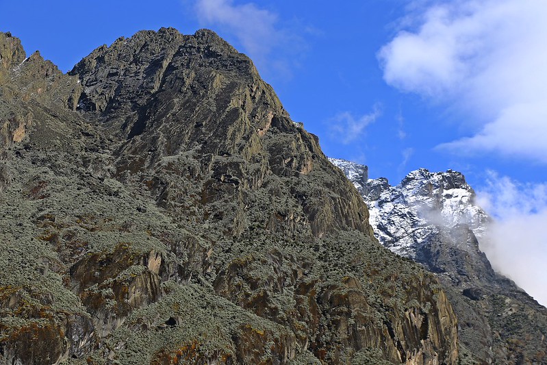 Weisemann Peak Trek 6 days Rwenzori trekking
