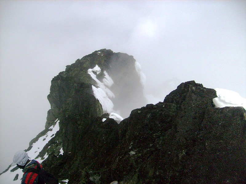 Mount Speke Of Rwenzori Mountain
